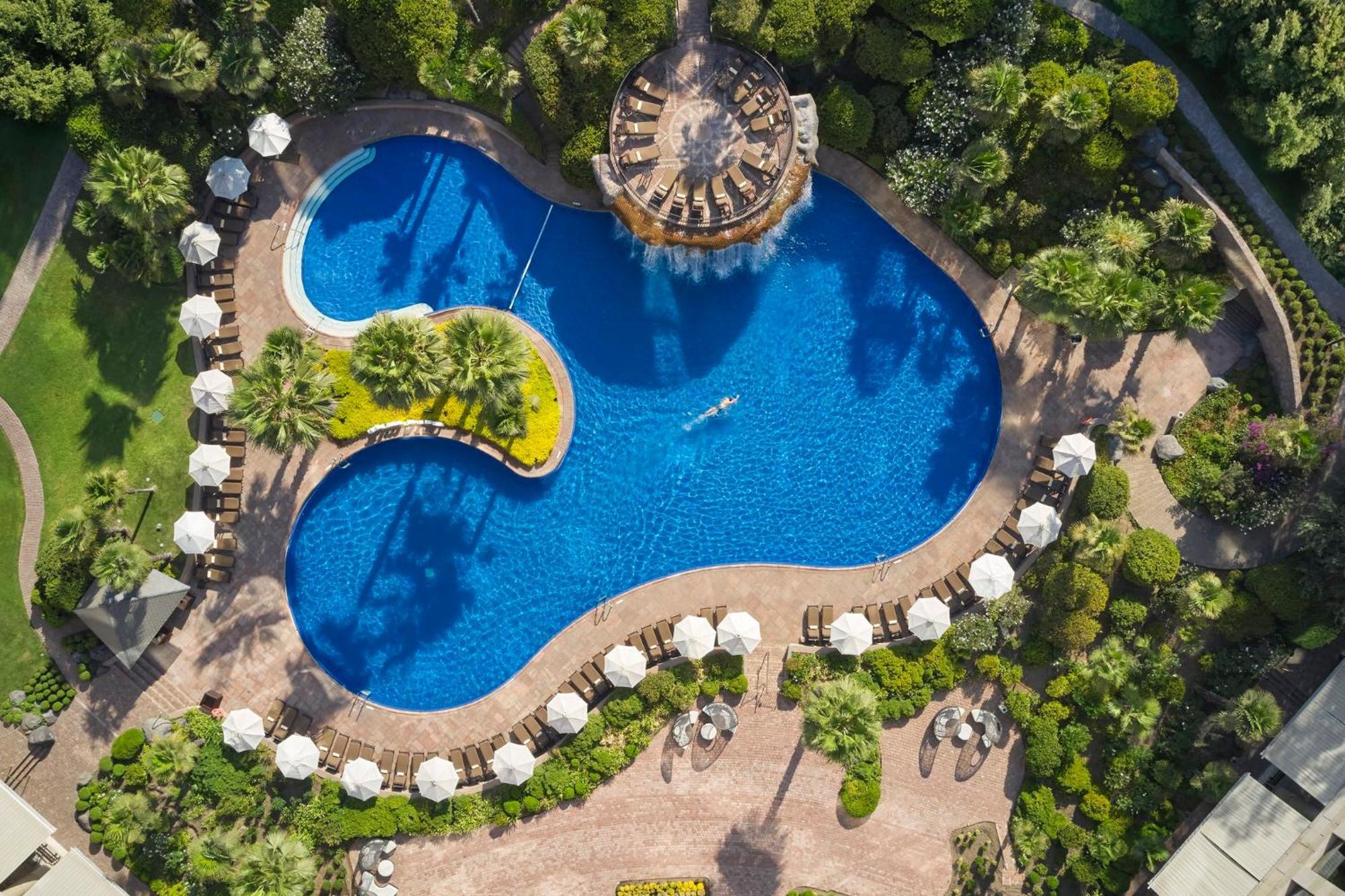 فندق Mandarin Oriental, سانتياغو المظهر الخارجي الصورة The swimming pool at the hotel